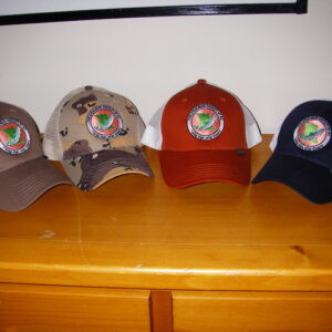 2010 SSBC hats now available