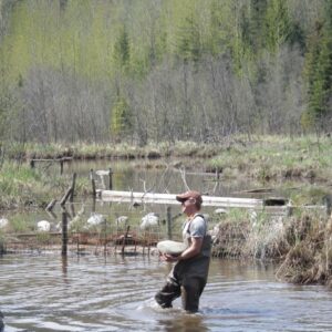 Telkwa Coho Pond update