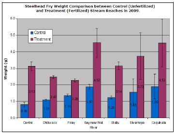 Steelhead fry weight comparision