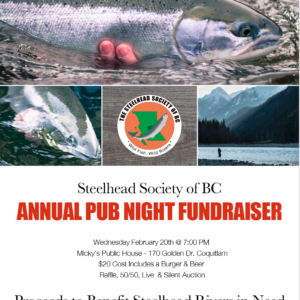 SSBC Pub Night Fundraiser Feb 20 2019 — Care To Make A Donation?